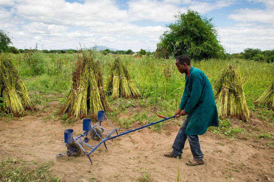 TANZANIA: DESTRUCTIVE STATE INTERVENTIONS IN THE AGRICULTURAL SECTOR