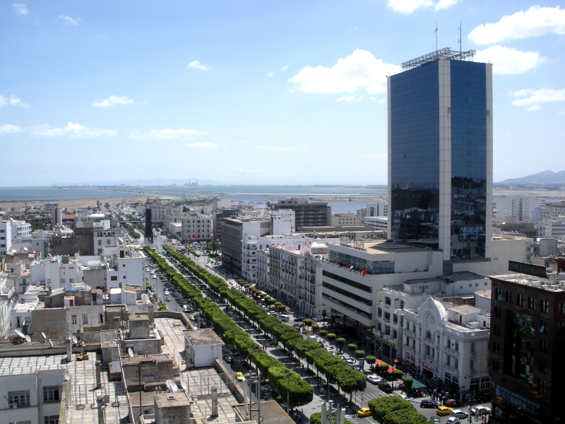 TUNISIA: ESTABLISHMENT PARTIES PREPARE TO FACE OFF AGAINST POPULIST CHALLENGERS