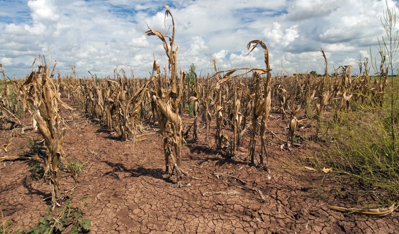 SPECIAL REPORT: AGRICULTURE IN SOUTHERN AFRICA UNDER THREAT