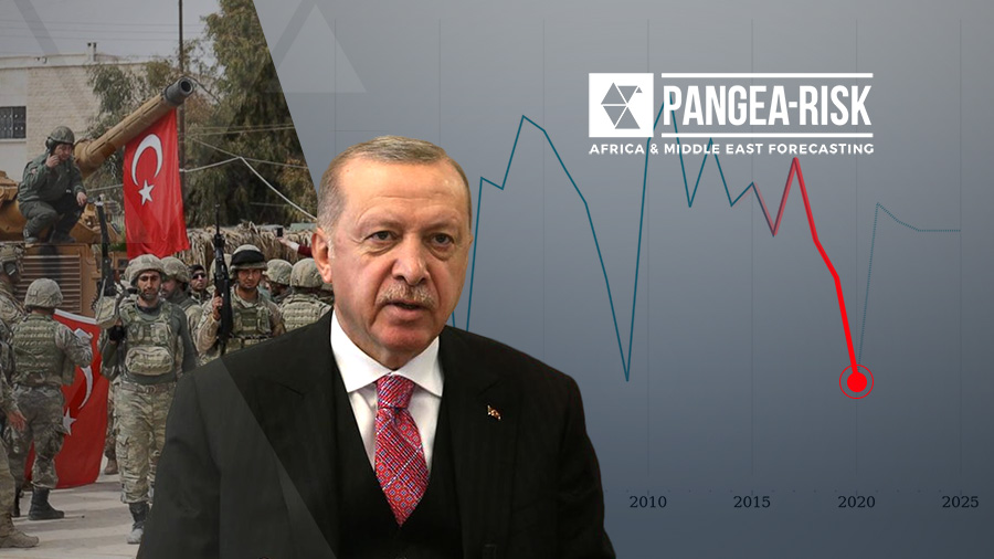 TURKEY: MAJOR ECONOMIC LEADERSHIP RESHUFFLE MASKS DOMESTIC CHALLENGES