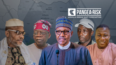 Pangea-Risk : INSIGHT