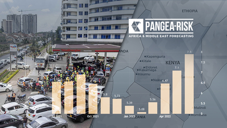 Pangea-Risk : INSIGHT