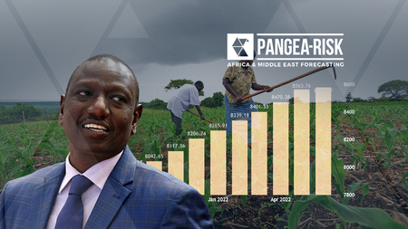 Pangea-Risk : INSIGHT