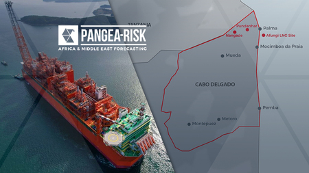 Pangea-Risk : INSIGHT
