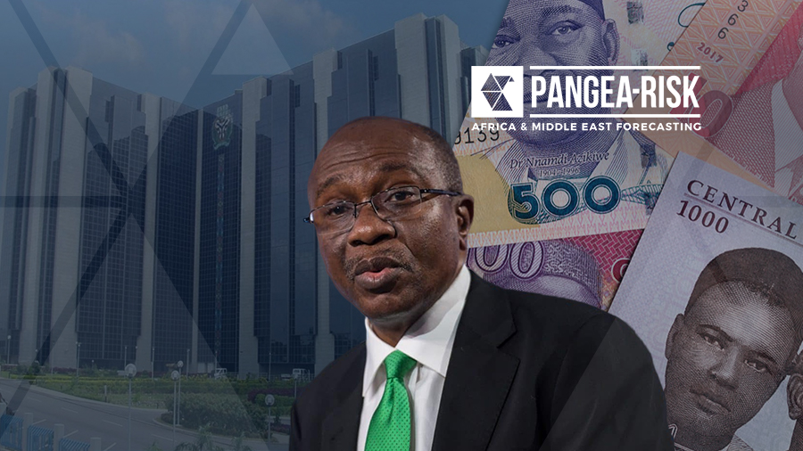 NIGERIA: CENTRAL BANK EXCESSIVE “DEVELOPMENT” LENDING PUSHES UP INFLATION