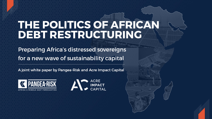 WHITE PAPER: THE POLITICS OF AFRICAN DEBT RESTRUCTURING