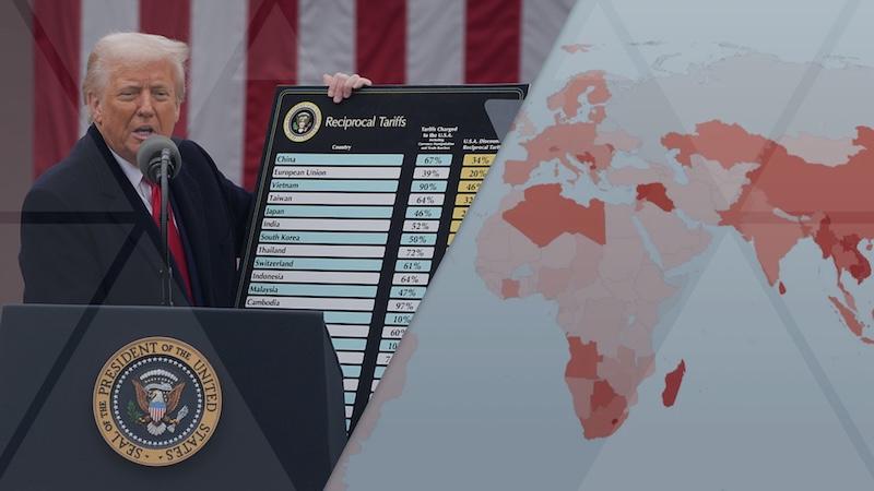 Pangea-Risk : INSIGHT